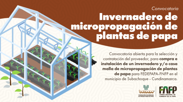 Convocatoria invernadero micropropagación de plantas de papa